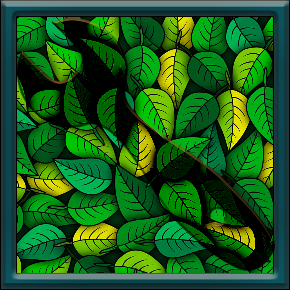 Bio Tools